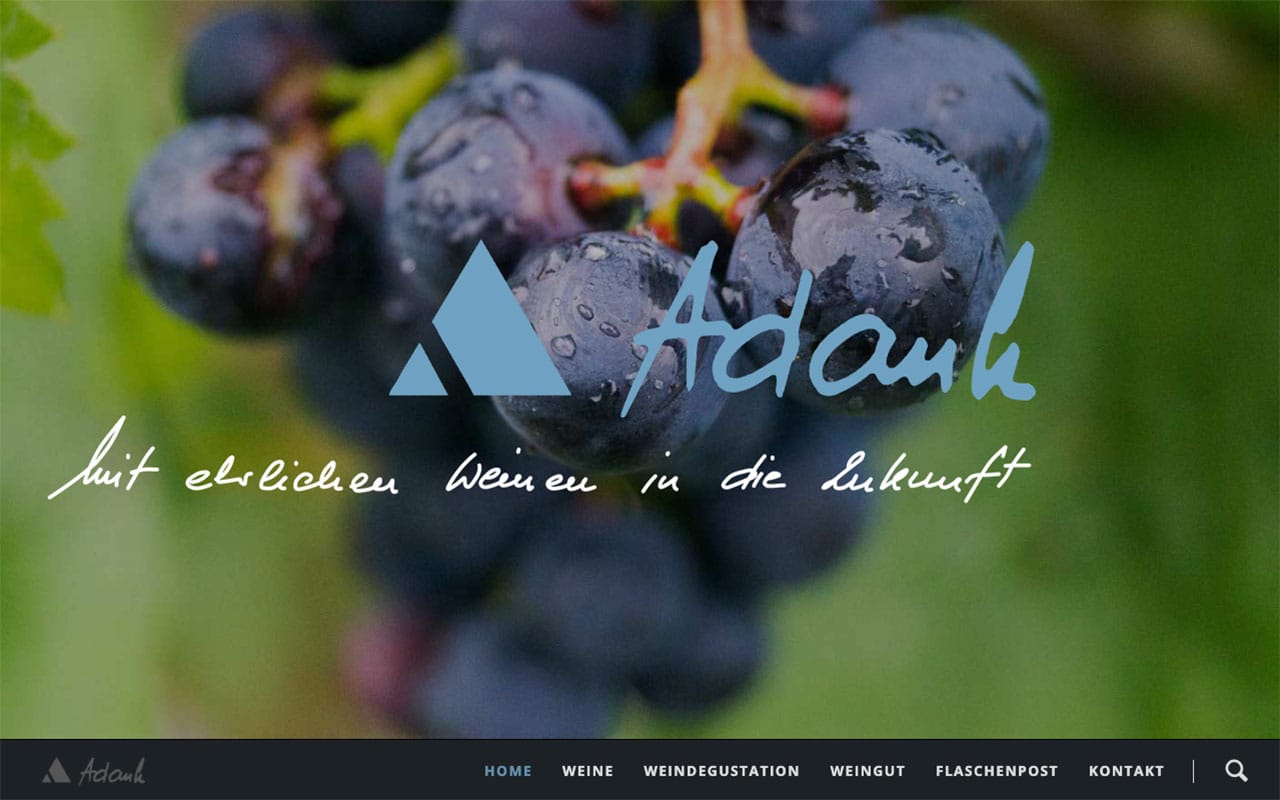 Adank Wein | Weine, Degustation & Weingut in Fläsch Nahaufnahme dunkler Weintrauben mit Wassertropfen am Rebstock