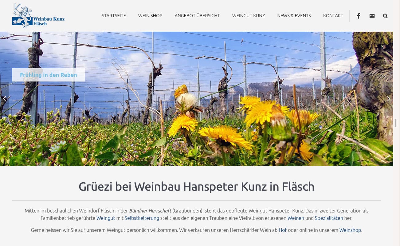 Weingut Kunz Fläsch | Bündner Herrschaft – Weinshop Löwenzahnblüten im Weinberg in Fläsch im Frühling
